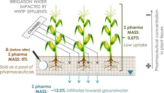 Meffe et al (2021) Environment International 157, 106835