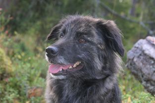 Ella 2022