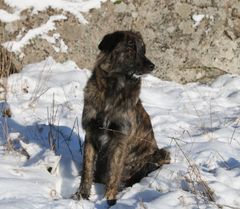 ella snö 2