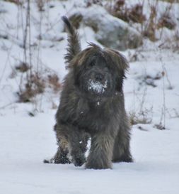 luna 7 mån 3