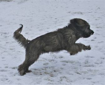 luna 7 mån 5