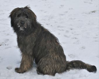 luna 7 mån 6