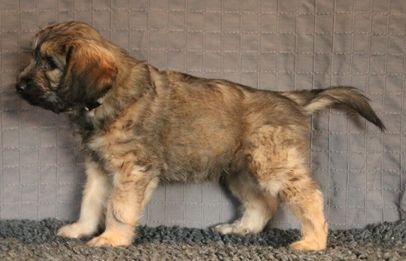 Vecka 7