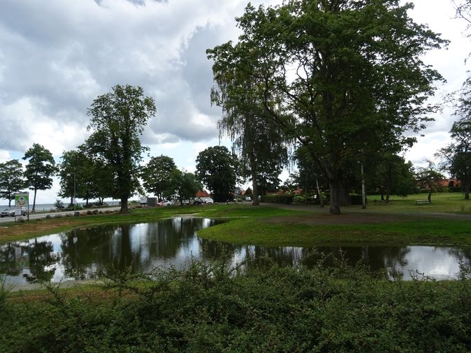 Regnvandssøen, set fra modsat side, sommeren 2021