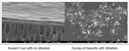 FOULANT CRUST WITH & WITHOUT VIBRATION