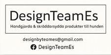 DesignTeamEs