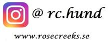 rc.hund