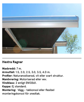 Hestra Ragnar