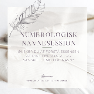 Numerologisk Navnesession
