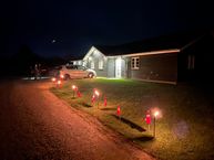 IMG_0982