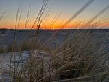 IMG_2702