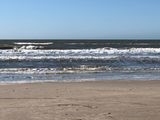 IMG_2826