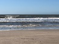 IMG_2826