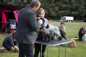 IMG_20160918_100236-1280x768-1