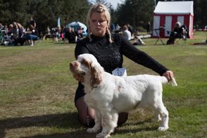 IMG_20160918_102032-1280x768-1