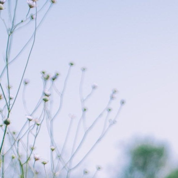unsplash_zXVk8mNl9M0