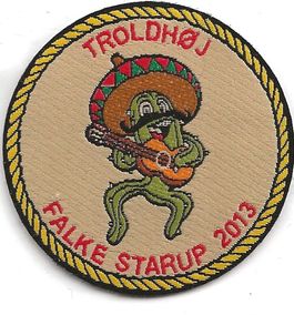 2013 - Falke Starup