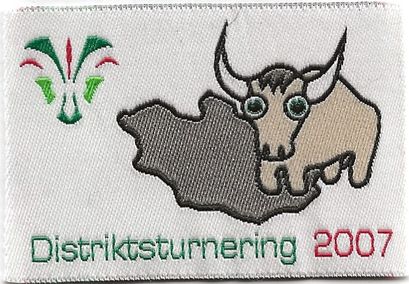 2007 - Distriktsturnering