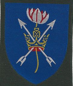 Trend Division