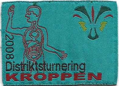 2008 - Distriktsturnering