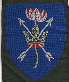 Trend Division