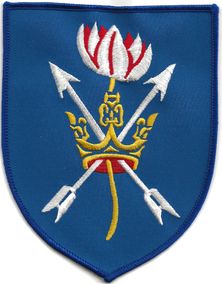 Trend Division