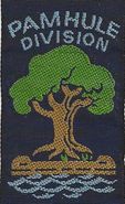 Pamhule Division