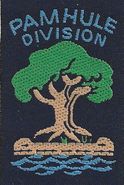 Pamhule Division