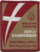 2019 - Mikro-/Mini divisionsturnering