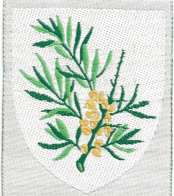 Vest Vendsyssel Division