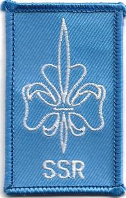 Reykjavik Division