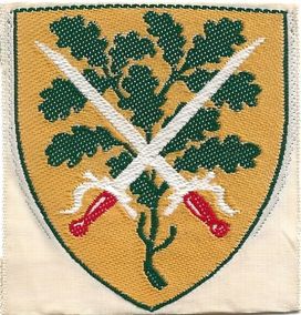 Brønshøj Division - Gjøngerne