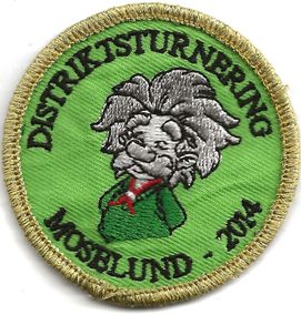 2014 - Distriksturnering