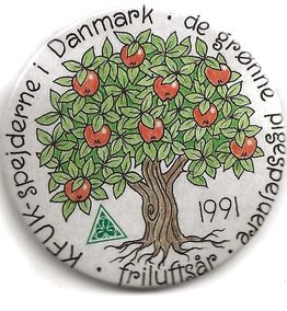 1991 - Friluftsår