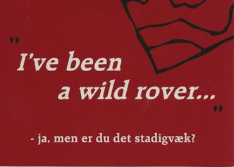 Rover Fejden 2013