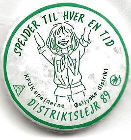 1989 - Distriktslejr