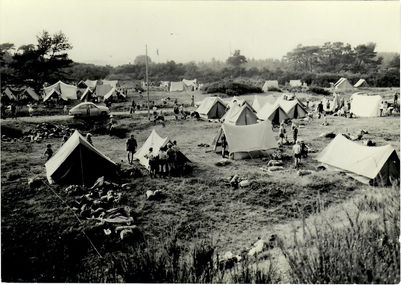 1970 - Ulvejubilejr