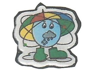 Lejrpins