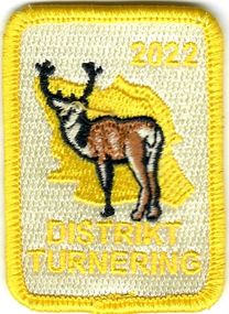2022 - Distriktsturnering