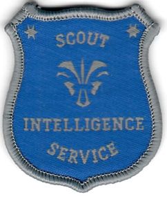 2013 - Scout Intelligence Service