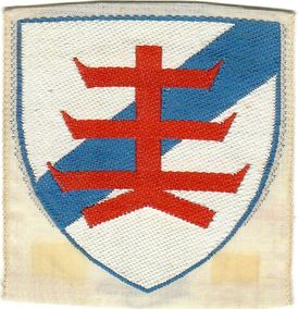 Tjele Division
