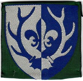 Hjorte Division