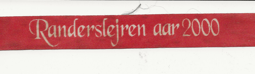 Deltager armbånd