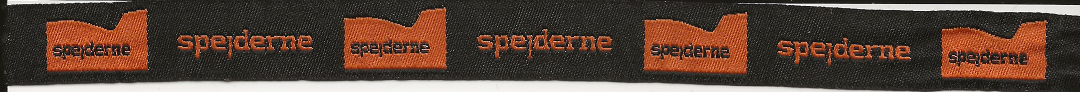 2010 - Spejderdagen