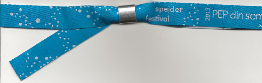 2013 - Spejderfestival