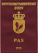 Divisionsturnering 2009