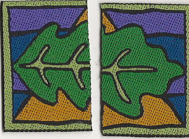 1996-97 - Friluftåret