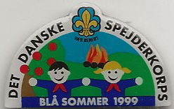 Lejr pins