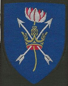 Trend Division