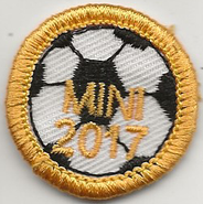 Mini 2017